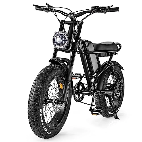 Electric Bike : Electric Bikes for Adults, 20" Fat Tire Electric Bike E Bike with 48V 15.6AH Removable Battery，7 Speed Electric Mountain Bike Snow BikeElectric Dirt Bike, Dual Shock Absorbers, LCD Display, 80 Miles