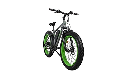 Electric Bike : Electric Fat Tire Mountain Bike,