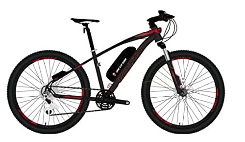 Electric Bike : Electric mountain bike (red)