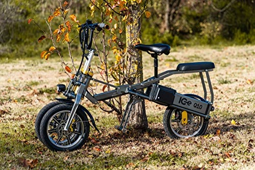 Electric Bike : Electric Tricycle ICe Q10 48V