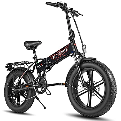 Electric Bike : Fafrees EP2-PRO Fat Electric Bike 750W, 20 Inch Folding E-bike for Adults, Max Speed 45 km / h, Battery 48V / 12.8AH (Black)
