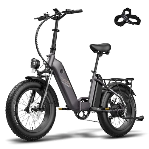 Electric Bike : Fafrees FF20 POLAR Electric Bicycle, 20 * 4.0 Inch City Electric Bike, 2 * 10.4 Ah Removable Batteries E-bike, Folding Electric Mountain Bike for Adults, Power Assist 70-150KM, Black