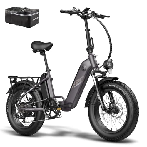 Electric Bike : Fafrees FF20 POLAR Electric Bike, 20 * 4.0” Fatbike, Folding Electric Bicycle for Adults, 10.4 * 2 Ah Batteries E-bike, Men's Electric Mountain Bike, Range 70-150KM (Black)