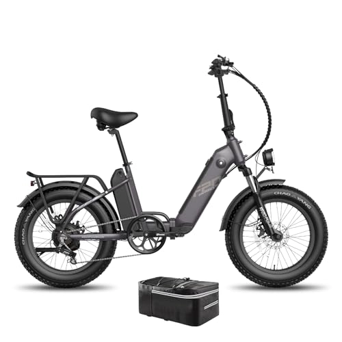 Electric Bike : Fafrees FF20 Polar Fatbike 20'' E Bike, Men's Bicycle with UK Plug 48V 10.4Ah*2 Batteries, Women's Electric Bikes 20 Inch, Mountain Bike, Electric Bicycles Foldable MTB Max. 65 N.m (Black)