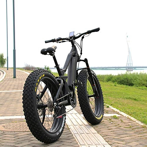 Electric Bike : Fat ASs Tire 1000W Bafang Motor Mountain EBike
