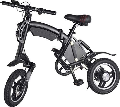 Electric Bike : FEZBD Disc Folding Electric Bike - Portable and Easy to Store in Caravan, Motor Home, Boat. Short Charge Lithium-Ion Battery and Silent Motor eBike, LCD Speed Display.
