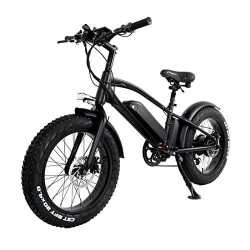 Electric Bike : FMOPQ Electric Bike750W Mountain Electric Bicycle 10Ah Lithium Battery 20 Inch Fat Tire Electric Bicycle 45km / h (Color : 750W48V10AH)