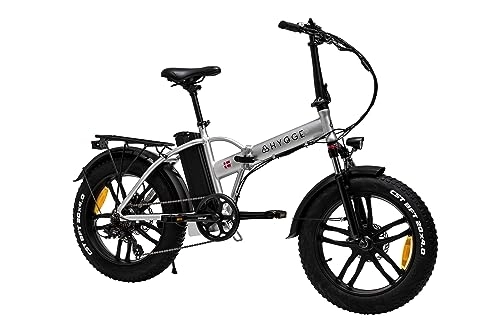Electric Bike : Hygge Vester Electric Bike, Ebikes, 20" Fat Tire E-Bike 250W Hub Motor, Electric Bicycles, Folding EBike, 36V / 10Ah Battery, 60KM, E Bike for Men and Women (Black) (Silver)