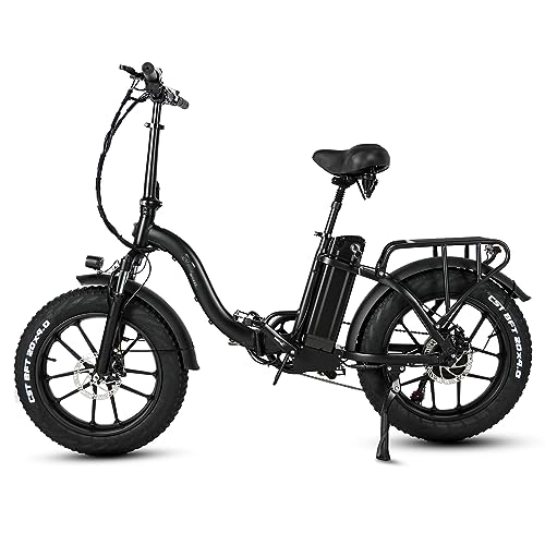 Electric Bike : Kinsella CMACEWHEEL Y20 stepper electric bicycle, 48V 15Ah Samsung portable lithium battery, comfortable seat, with shock absorber and 4.0 fat tires