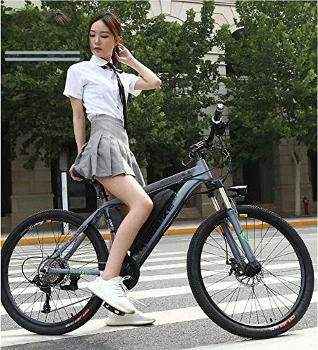 Electric Bike : LAZNG Electric Bikes for Adults 3 Modes Switch Electric Bicycle 36V350W Lithium Mens Bikes, 26 Inch Tires, 27-Speed Transmission, Double Disc Brake, HD Display, 30km / 45km / 60km (Color : Gray)