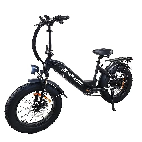 Electric Bike : LONG SENG electric bicycle, 48V 12AH lithium ion battery commuter electric bicycle，20" x4.0 fat tire electric bicycle, 7-speed adult electric bicycle have passed UL GCC certification (Black)