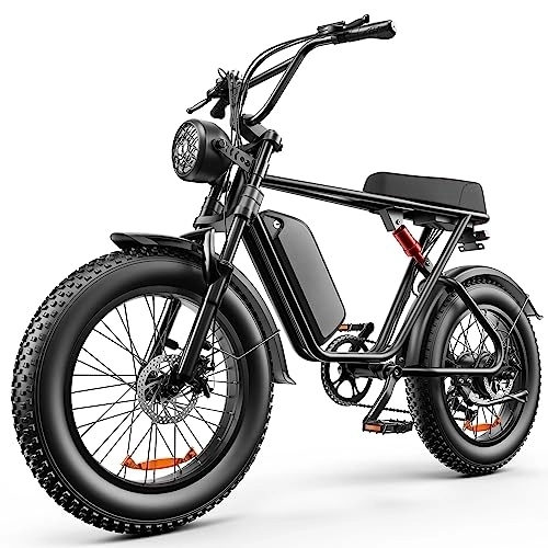 Electric Bike : LONG SENG Electric Bicycle, 48V 20AH detachable battery electric bicycle, 7-speed 20" x4.0 mountain electric bicycle and 80N.M adult electric bicycle have passed UL certification.