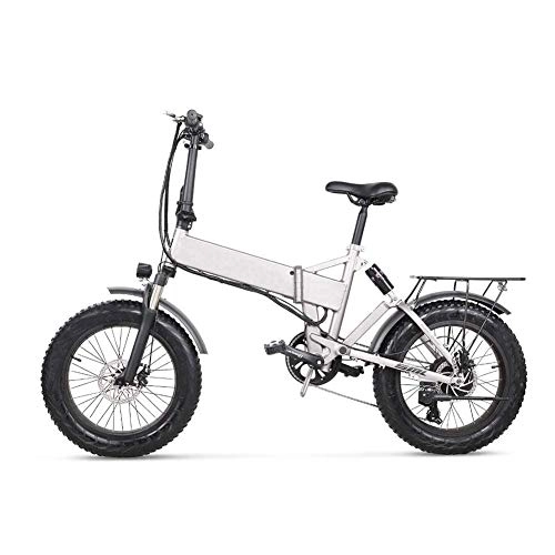 Electric Bike : LQH 20 inches of snow bicycle electric 500W folded mountain bike, with the rear seat and disc brakes, with 48V 12.8AH lithium battery (Silver)