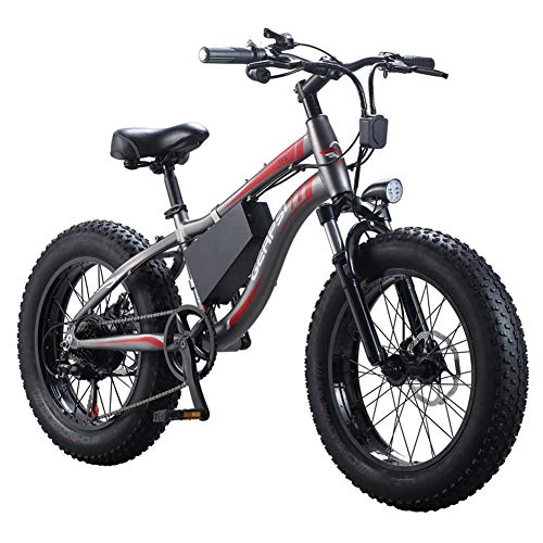 Electric Bike : LYGID Electric bicycle 36V 250W 8AH Mens Mountain Ebike 7 Speeds 26 inch Fat Tire Road Bicycle Snow Bike Pedals with Disc hydraulic Brakes and Suspension Fork (Removable Lithium Battery)