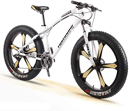 Electric Bike : Oulida Electric bicycle, Bicycle snow bike tire Adult male and female cross-country mountain wide speed 26-inch five students damper disc cutter wheel woo (Color : White, Size : 21 speed)