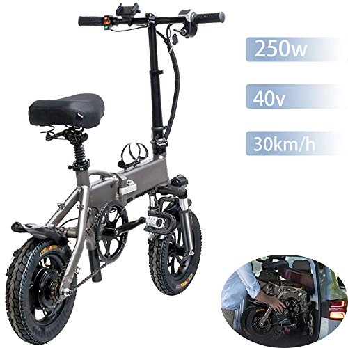 Electric Bike : QHTC Electric Bike, Folding Electric Bike for Adults 250W 48V with LCD Screen, Seat Adjustable, 15Kg Light Bicycle for Sports Outdoor Cycling Travel Work Out And Commuting