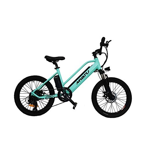 Electric Bike : Qnlly Off Road Electric Bike Two Wheel Electic Bicycle Variable Speed System 36V 7.5AH 250W Electric Mountain E-BIKE For Adult