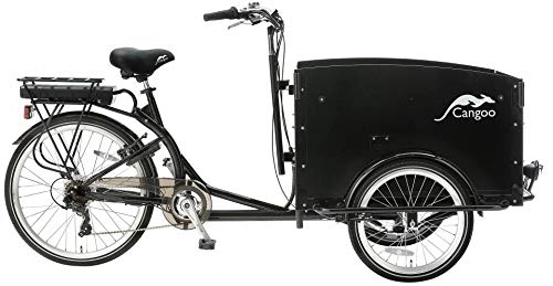 Electric Bike : Tour Electric 26 Inch – 53 cm Unisex 6g Velge Brake Black