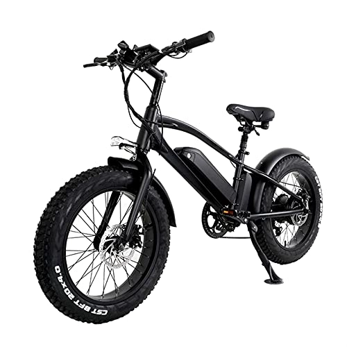Electric Bike : TSTYW 20 - Inch Electric Bicycle, Equipped With 48V 12.8Ah Lithium Battery 750W High - Power Motor, 5 Speed Levels, Fat Tire Mountain Bike (Color : Black)