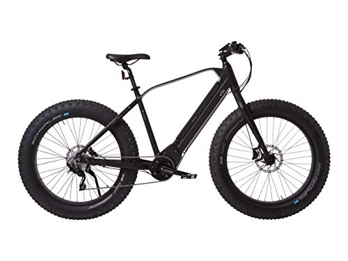 Electric Bike : Witt E-Sumo Electric Fat Bike, Powerful E-Bike in Nordic Slim Design with Powerful 36 V / 11.6Ah, Lithium Panasonic 417, 6 W in Frame Battery, Shimano Xt 10 Speed Gear, Front Suspension, 250 W Mid Motor