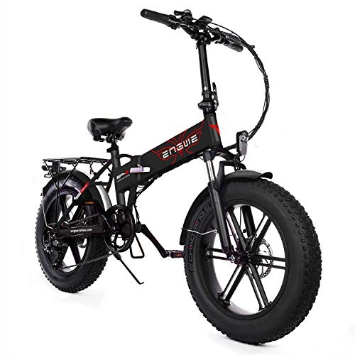 Electric Bike : YIN QM No Tax EU Shipping Electric bike 20 * 4.0inch 750W Powerful Motor electric Bicycle 48V12.8A Mountain Fat tire bike Snow ebike, Black, 2pcs battery