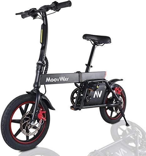 Electric Bike : Zhaoyun Electric Bike, Urban Commuter Folding E-bike, Max Speed 25km / h, 14 Super Lightweight, 350W / 36V Removable Charging Lithium Battery, Unisex Bicycle
