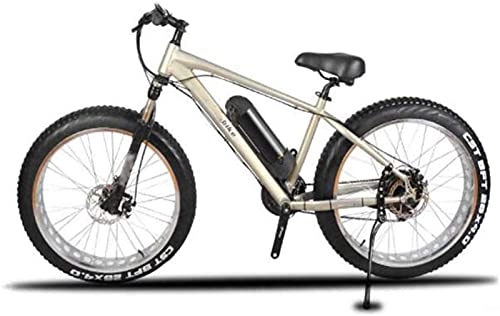 Electric Bike : ZJZ Electric Bikes Bicycle, 26 inch Wheel diameter 350W Adult Bikes 21 speed Sports Outdoor Cycling