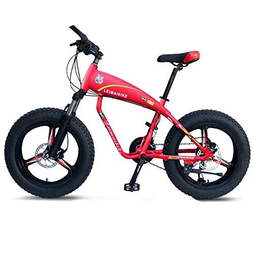 Fat Tyre Bike : 20 Inch Mountain Bikes, 30-Speed Overdrive Fat Tire Bicycle, Boys Womens Aluminum Frame Hardtail Mountain Bike with Front Suspension, Blue, Spoke FDWFN (Color : Red)
