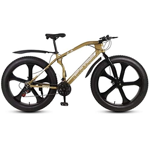 Fat Tyre Bike : 26-Inch Mountain Bike, 26 * 4.0 Fat Tire Double Disc Brake Bicycle, for Urban Environment and Commuting To and From Get Off Work