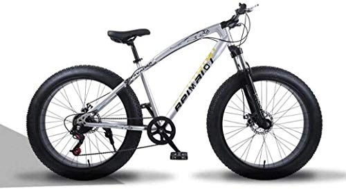 Fat Tyre Bike : All Terrain Mountain Bicycle, 26 Inch Fat Tire Hardtail Mountain Bike, Dual Suspension Frame And Suspension Fork, Men's And Women Adult, (Color : Silver spoke, Size : 27 speed)