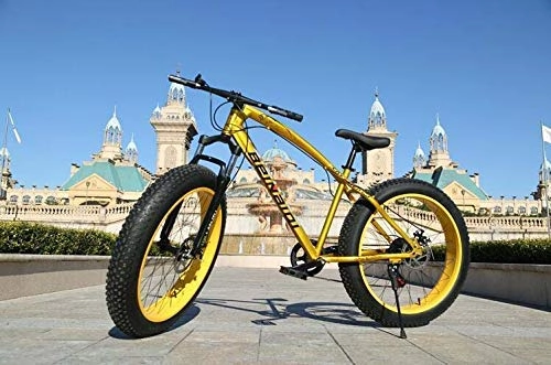 Fat Tyre Bike : ALQN Mountain Bikes, Dual Disc Brake Fat Tire Cruiser Bike, High-Carbon Steel Frame, Adjustable Seat Bicycle, Gold, 26 inch 24 Speed