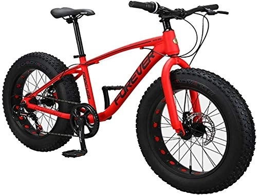 Fat Tyre Bike : Aoyo Kids Mountain Bikes, 20 Inch 9-Speed Fat Tire Anti-Slip Bikes, Aluminum Frame Dual Disc Brake Bicycle, Hardtail Mountain Bike, (Color : Red)