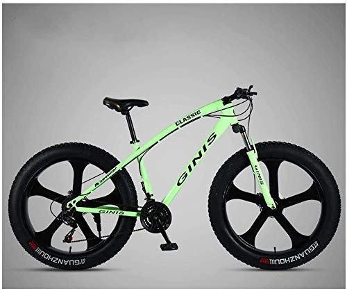 Fat Tyre Bike : Aoyo Mountain Bikes, Bike, Adult, Mountain Bike, 26 Inch 21 Speeds, Fat Tire, Bike, Front Suspension, Double Disc Brake, Bicycles, High Carbon Steel, Black 5 Spoke, Outroad, Mtb, (Color : Green)