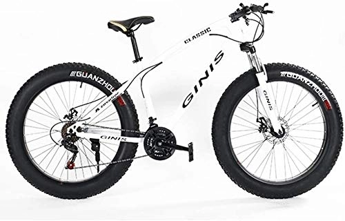 Fat Tyre Bike : Aoyo Teens Mountain Bikes, 21-Speed 24 Inch Fat Tire Bicycle, High-carbon Steel Frame Hardtail Mountain Bike with Dual Disc Brake, (Color : White, Size : Spoke)