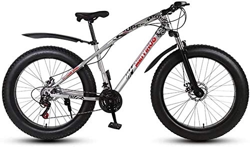 Fat Tyre Bike : baozge Mens Adult Fat Tire Mountain Bike Variable Speed Snow Bikes Double Disc Brake Beach Bicycle 26 inch Wheels Cruiser Bicycles Black 24 Speed-21 speed_Silver