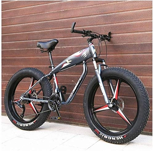 Fat Tyre Bike : Beach, Bicycle, Mountain Bikes, 26 Inch 24 Speeds, Hardtail, Bicycles, Aluminum Alloy, Bike Front Suspension Double Disc Brake, For Men Women Universal, Outdoor Beach MTB, Colour:Black (Color : Grey)