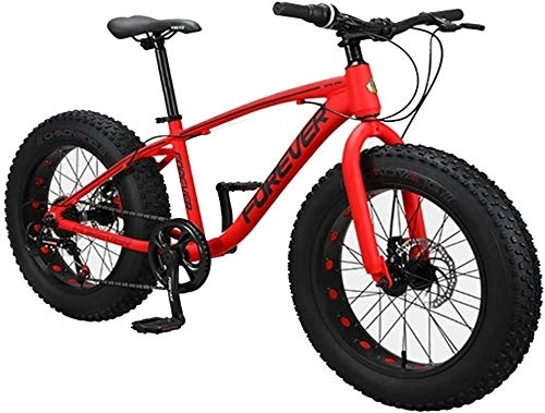Fat Tyre Bike : Bicycle Kids Mountain Bikes, 20 Inch 9-Speed Fat Tire Anti-Slip Bikes, Aluminum Frame Dual Disc Brake Bicycle, Hardtail Mountain Bike, Red (Color : Red)