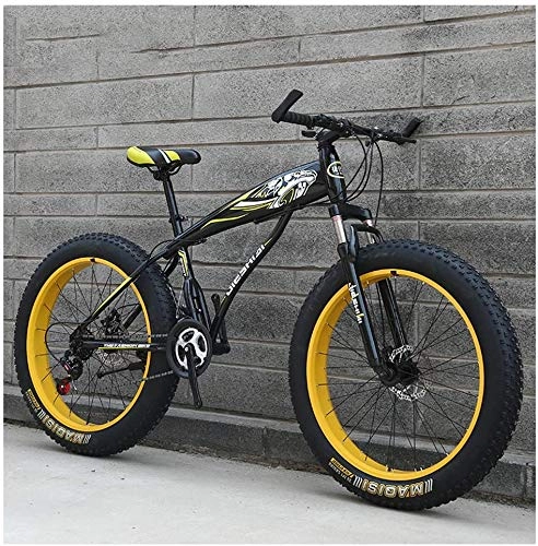 Fat Tyre Bike : CDFC Adult Mountain Bikes, Boys Girls Fat Tire Mountain Trail Bike, Dual Disc Brake Hardtail Mountain Bike, High-Carbon Steel Frame, Bicycle 24Inch Wheel, E, 24 Speed
