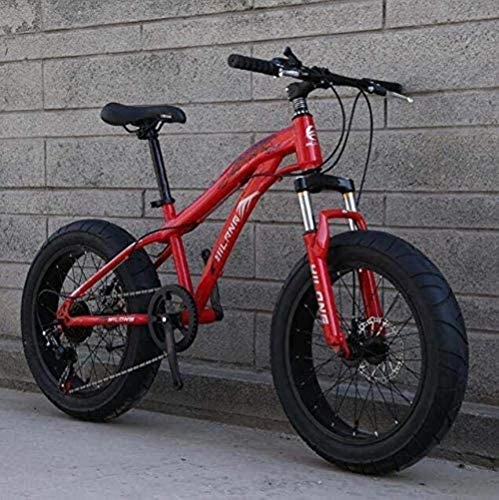Fat Tyre Bike : CSS Fat Tire Bike Bicycle, Mountain Bike for Adults and Teenagers with Disc Brakes and Spring Suspension Fork, High Carbon Steel Frame 5-25, 20inch 27 Speed