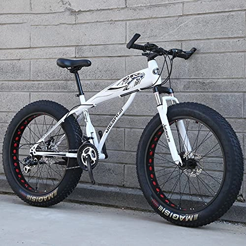 Fat Tyre Bike : DANYCU Adult Mountain Bike Bicycle 26 Inch Thick Wheel Bikes Dual Disc Brake Bicycle, High-carbon Steel Frame, Fat Tire Hardtail Mountain Bike, E, 30 speed