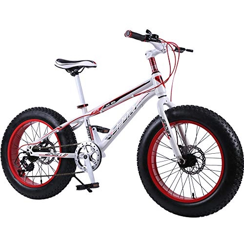 Fat Tyre Bike : DRAKE18 Fat bike, 20 inch 7 speed variable speed snow beach off-road bicycle men's outdoor riding, A