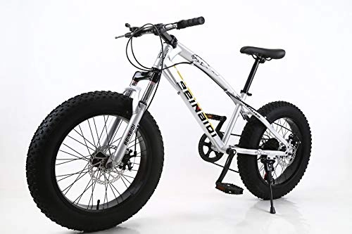 Fat Tyre Bike : FCYIXIA 20 Inch Fat Bike Children Kid Fat Tire Mountain Bike Beach Cruiser Bicycle Carbon Steel Disc Brake Big Wheel MTB (Color : Red Size : 7 speed) zhengzilu