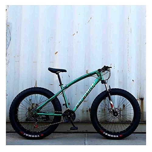 Fat Tyre Bike : GAOTTINGSD Adult Mountain Bike Bicycle Mountain Bike MTB Adult Beach Snowmobile Bicycles For Men And Women 24IN Wheels Adjustable Speed Double Disc Brake (Color : Green, Size : 7 speed)