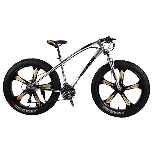 Fat Tyre Bike : GAOTTINGSD Adult Mountain Bike Bicycle MTB Adult Big Tire Beach Snowmobile Bicycles Mountain Bike For Men And Women 26IN Wheels Adjustable Speed Double Disc Brake (Color : Gray, Size : 7 speed)