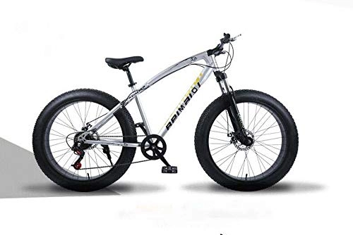 Fat Tyre Bike : GASLIKE Hardtail Mountain Bikes, Dual Disc Brake Fat Tire Cruiser Bike, High-Carbon Steel Frame, Adjustable Seat Bicycle, silver, 26 inch 24 speed