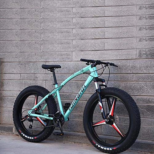 Fat Tyre Bike : GASLIKE Mountain Bike Bicycle for Adults, High Carbon Steel Frame, Dual Disc Brake And Front Full Suspension Fork, green, 24 inch 24 speed