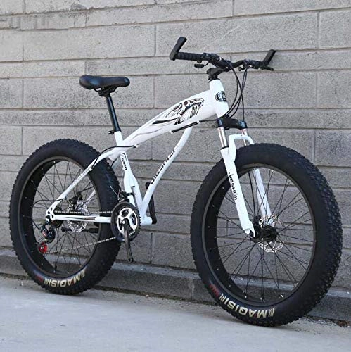 Fat Tyre Bike : GASLIKE Mountain Bike Bicycle for Adults Men Women, Fat Tire MBT Bike, Hardtail High-Carbon Steel Frame And Shock-Absorbing Front Fork, Dual Disc Brake, A, 26 inch 21 speed