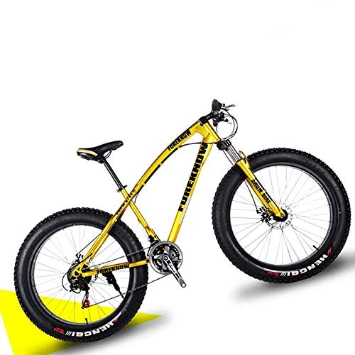 Fat Tyre Bike : giyiohok 20 Inch Hardtail Mountain Bike with Front Suspension& Mechanical Disc Brakes for Women Off-Road Fat Tire Mountain Bicycle Adjustable Seat in 8 Colors-21 Speed_Gold