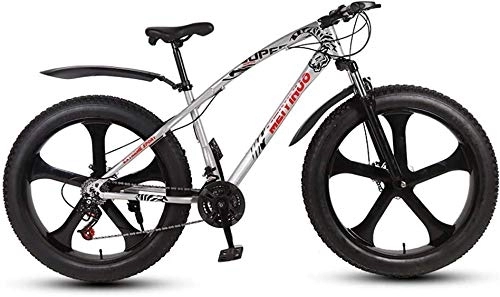 Fat Tyre Bike : HYCy Adult Mens Fat Tire Mountain Bike, Variable Speed Snow Beach Bikes, Double Disc Brake Cruiser Bicycle, 26 Inch Magnesium Alloy Integrated Wheels