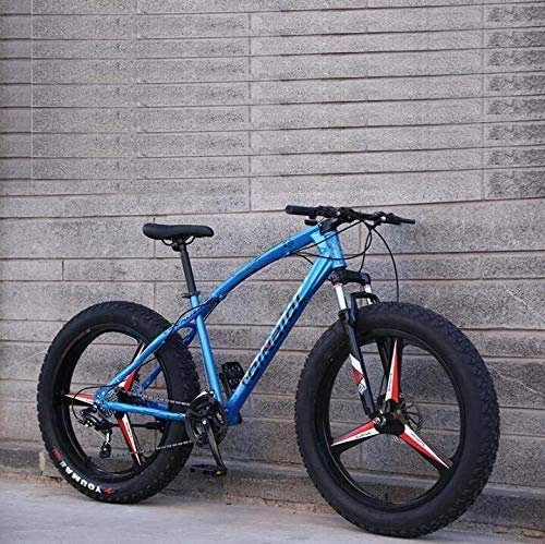 Fat Tyre Bike : HYCy Mountain Bike Bicycle for Adults, High Carbon Steel Frame, Dual Disc Brake And Front Full Suspension Fork